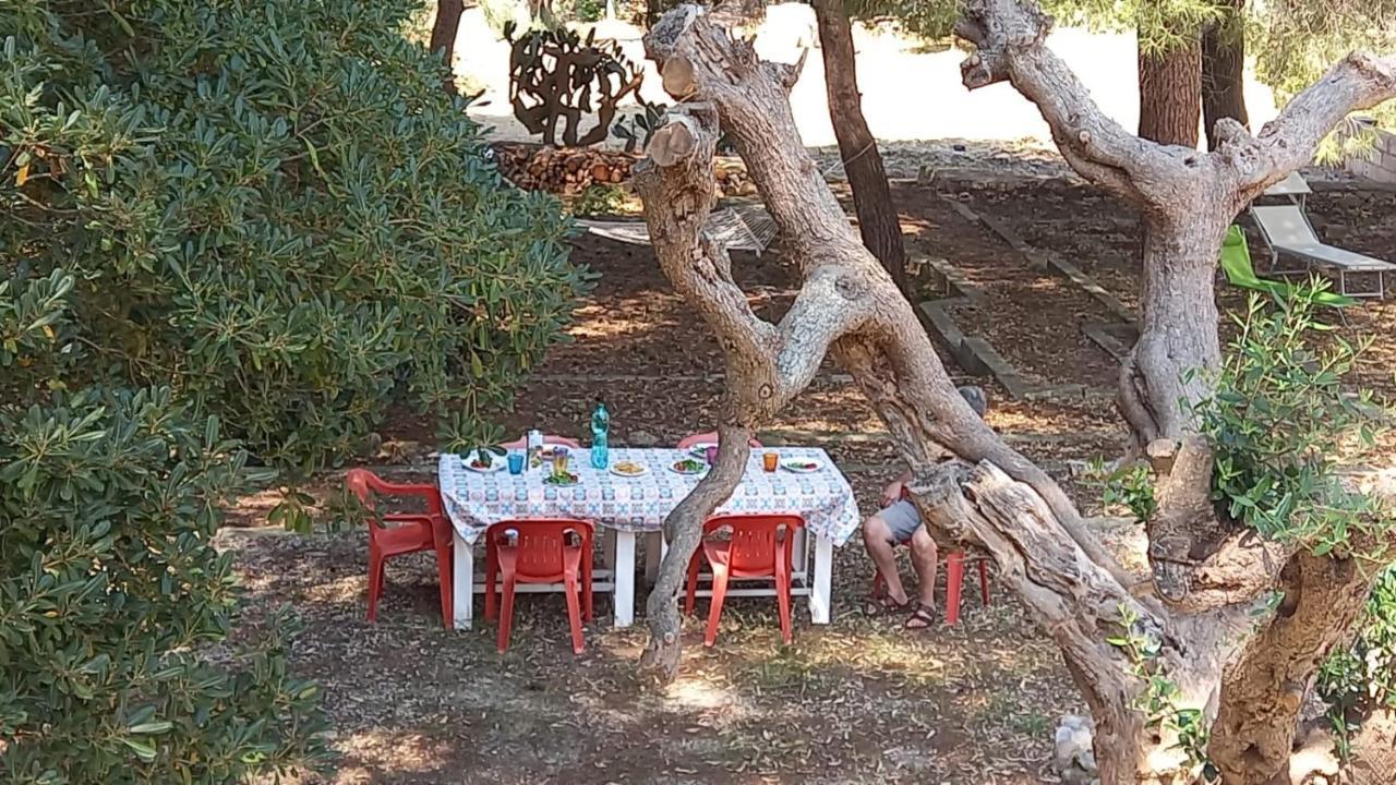 Vakantiehuis Maria In Puglia Con Pineta Vicino Al Mare *