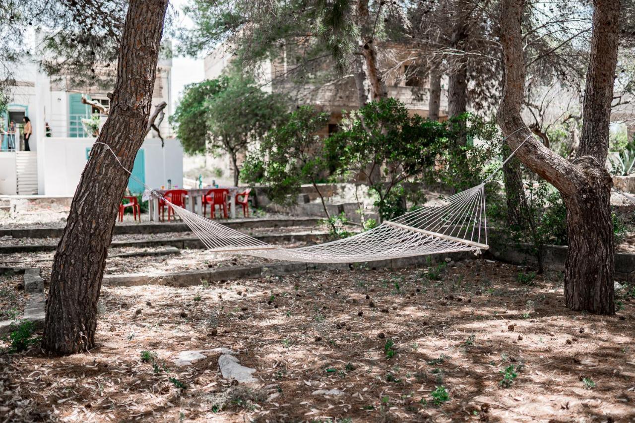 Vakantiehuis Maria In Puglia Con Pineta Vicino Al Mare
