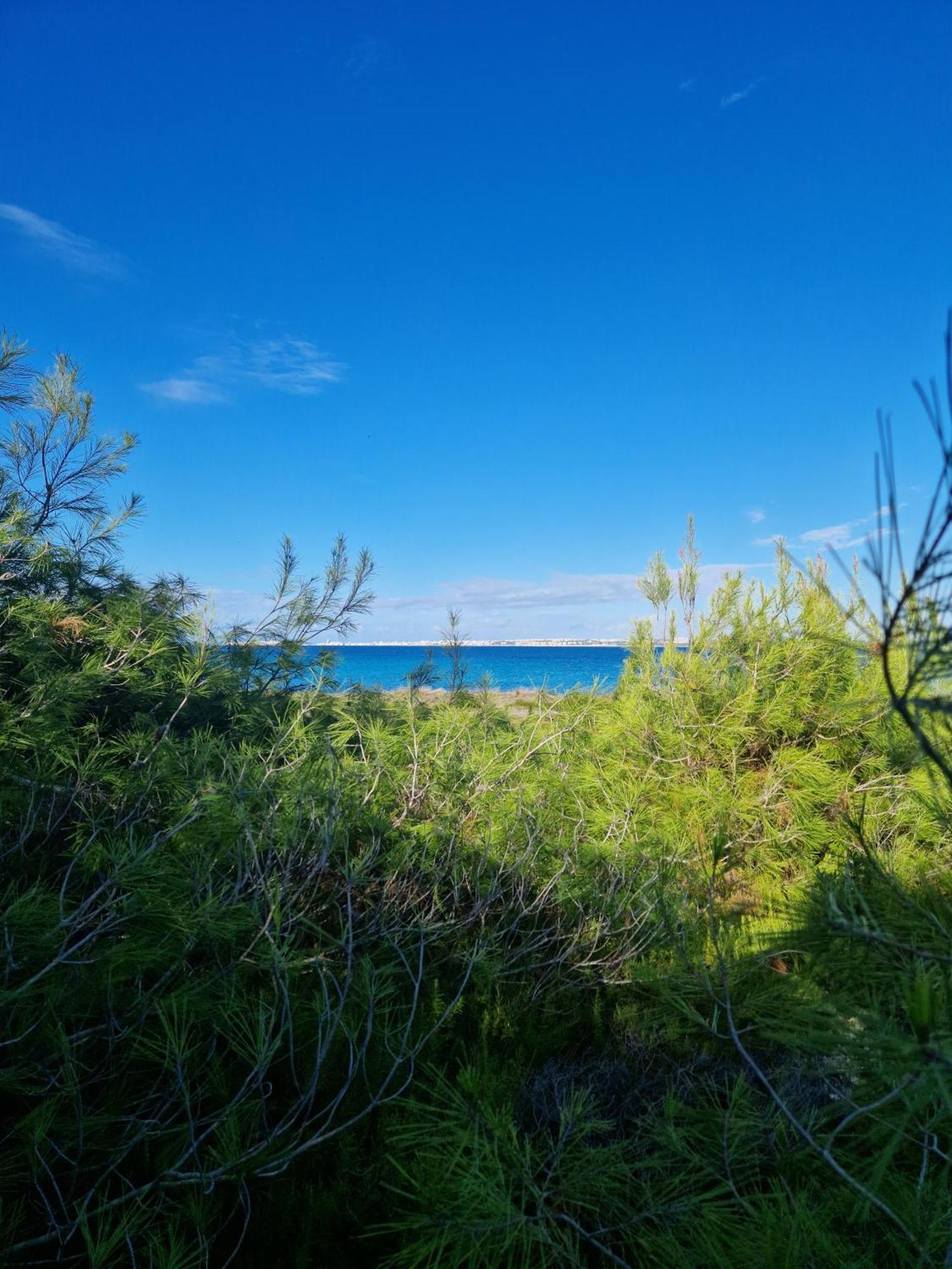 Maria In Puglia Con Pineta Vicino Al Mare