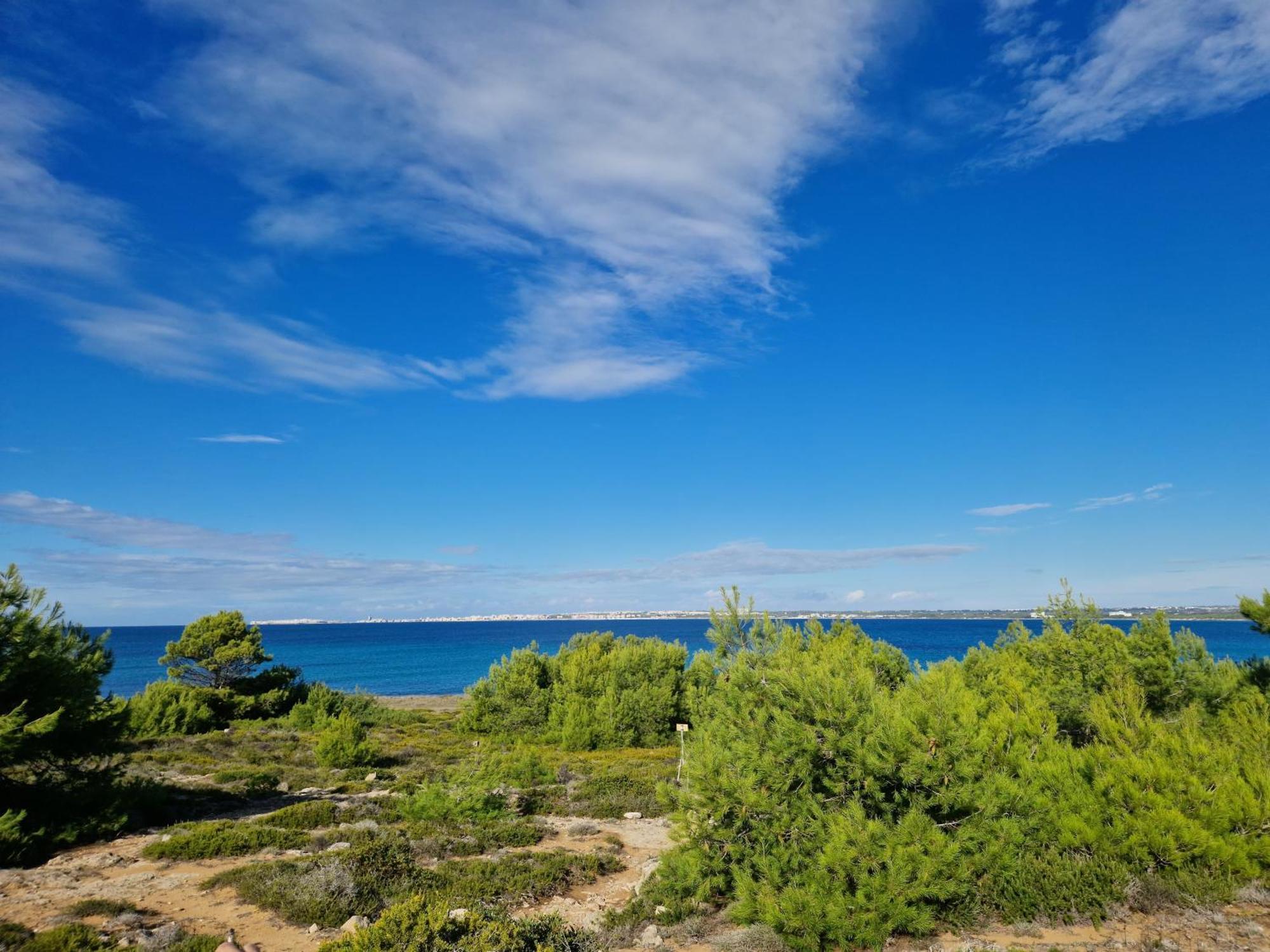 Maria In Puglia Con Pineta Vicino Al Mare *