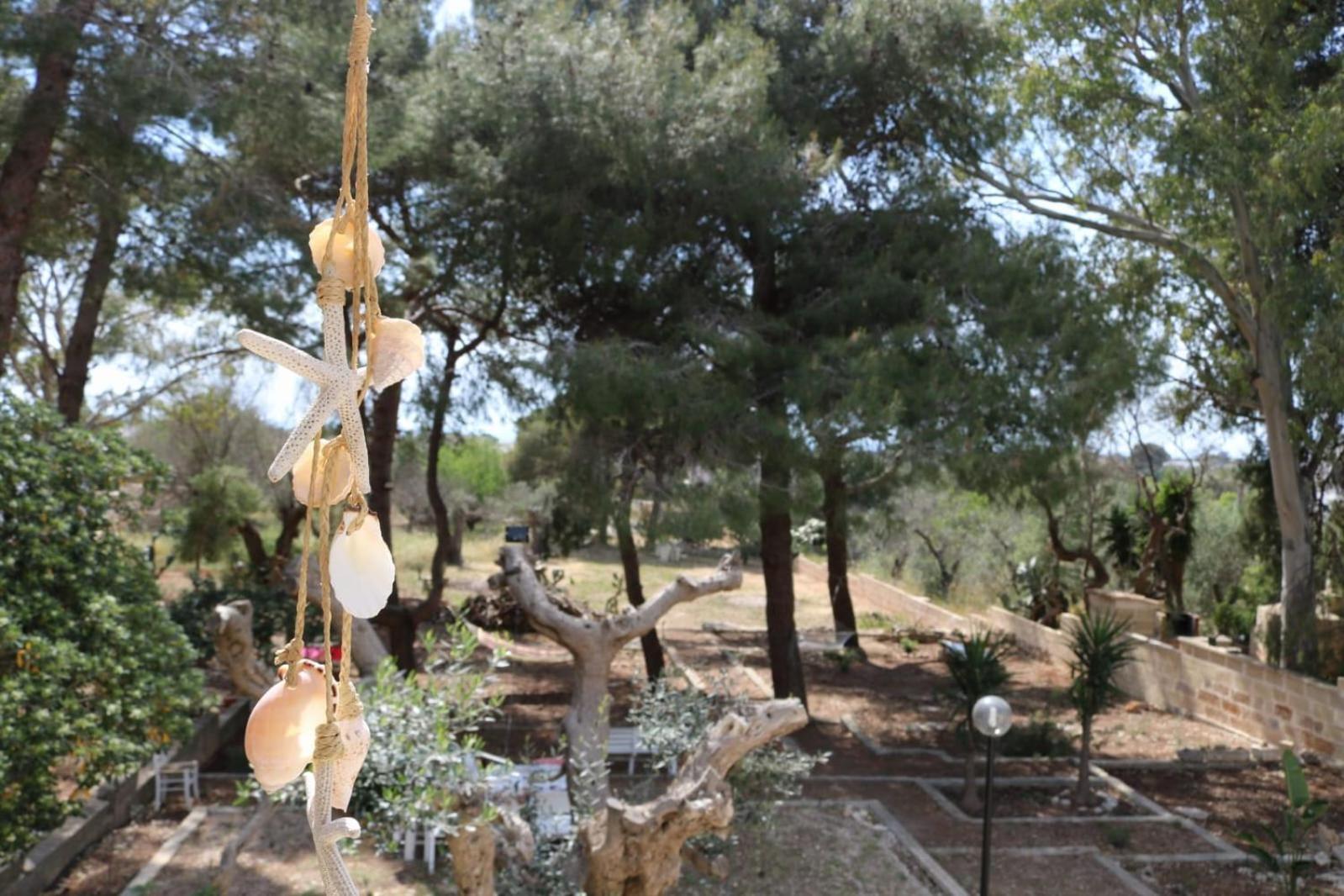 Maria In Puglia Con Pineta Vicino Al Mare Vakantiehuis *
