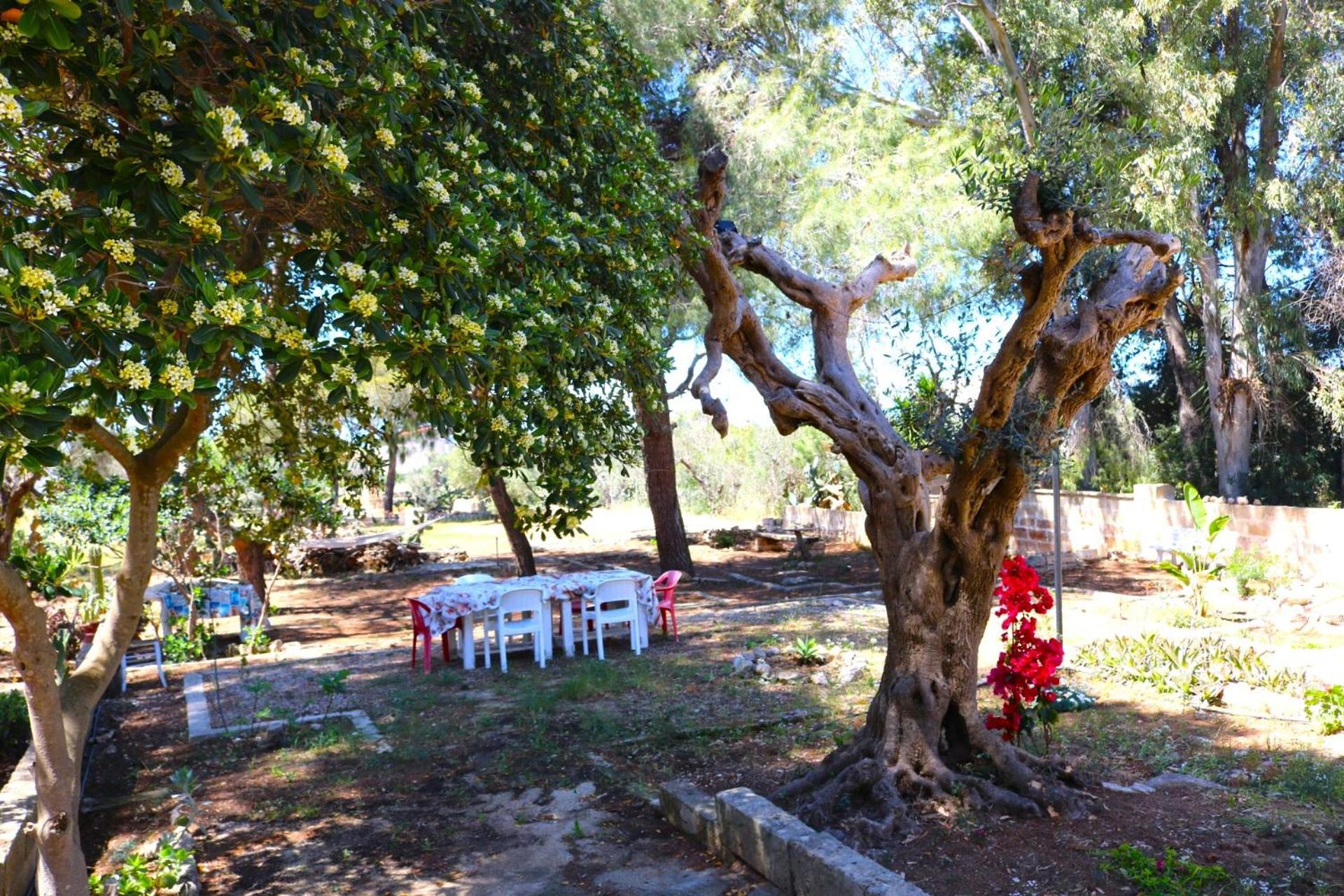 Maria In Puglia Con Pineta Vicino Al Mare Vakantiehuis *